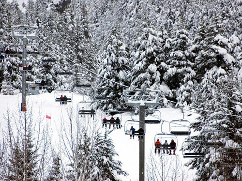 阿拉斯加，阿里耶斯卡