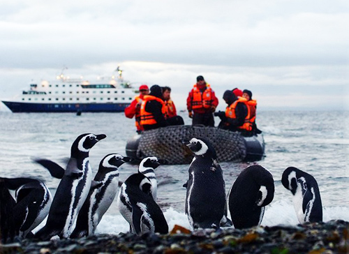 極地之旅 目睹南美合恩角神話般的美 極地之旅 目睹南美合恩角神話般的美