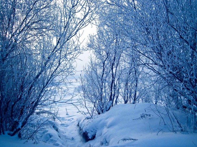 跳進冰封的貝加爾湖 跳進冰封的貝加爾湖