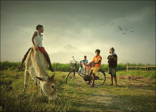 放牛娃們 放牛娃們