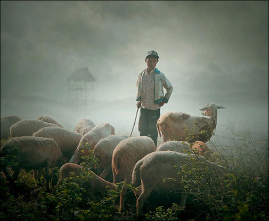 放羊的孩子 放羊的孩子