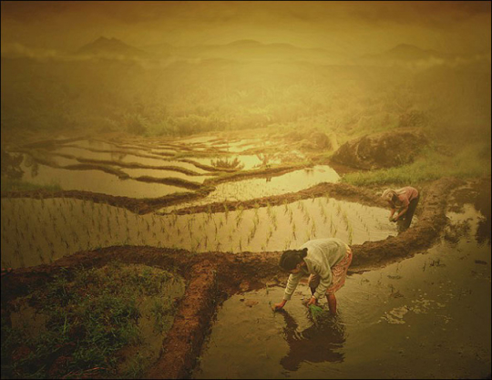 做農活的淳樸農民 做農活的淳樸農民