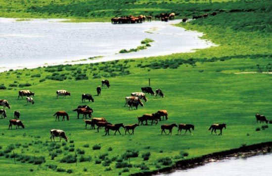 處處翠色欲流,馬兒自然入畫。 處處翠色欲流,馬兒自然入畫。