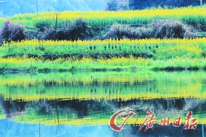 江嶺梯田落差不大,但有花有水。 江嶺梯田落差不大,但有花有水。