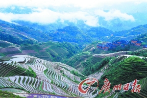 龍勝梯田大氣而立體。 龍勝梯田大氣而立體。