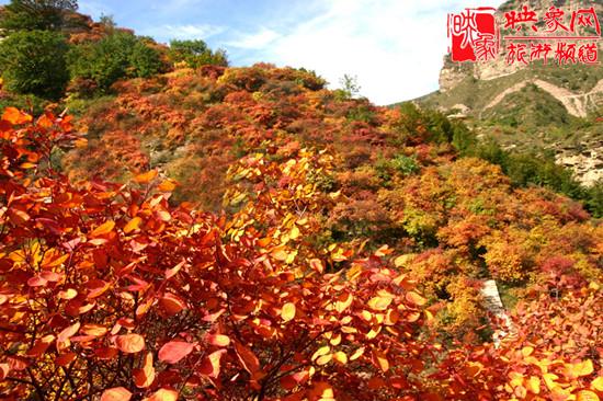 2013第七屆中國·邢臺九龍峽金秋紅葉節 2013第七屆中國·邢臺九龍峽金秋紅葉節