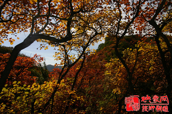 2013第七屆中國·邢臺九龍峽金秋紅葉節 2013第七屆中國·邢臺九龍峽金秋紅葉節