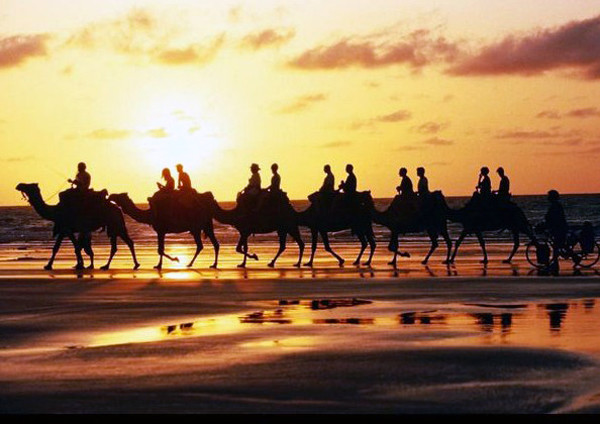 重走絲綢之路 20輛歐洲老爺車跨6國抵達古都洛陽 重走絲綢之路 20輛歐洲老爺車跨6國抵達古都洛陽