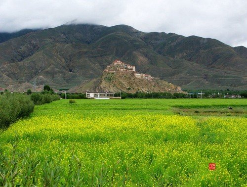 10處賞春采風地 拍出2013年的明媚春光 10處賞春采風地 拍出2013年的明媚春光