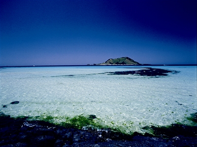 濟州島向來是韓國小情侶的熱門拍拖地 濟州島向來是韓國小情侶的熱門拍拖地