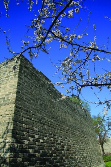 春暖花開時 春暖花開時