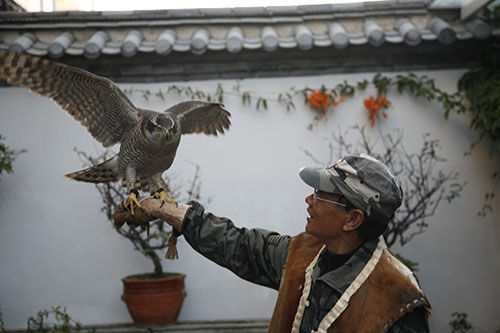 尋找麗江土著人 尋找麗江土著人