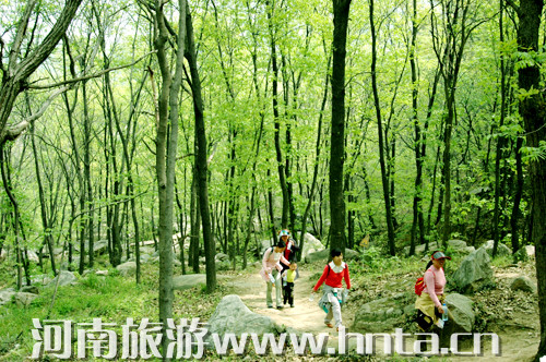 美酒晚會比賽一個都不少 四月到金頂山景區樂翻天 美酒晚會比賽一個都不少 四月到金頂山景區樂翻天