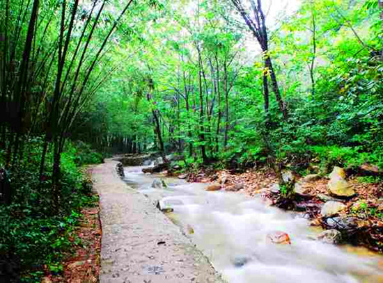 端午來出游 河南景區優惠大盤點 端午來出游 河南景區優惠大盤點