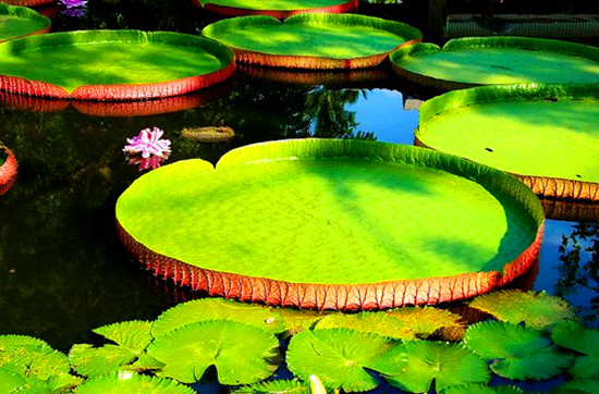 鄭州紫荊山公園雙節歡樂多 鄭州紫荊山公園雙節歡樂多