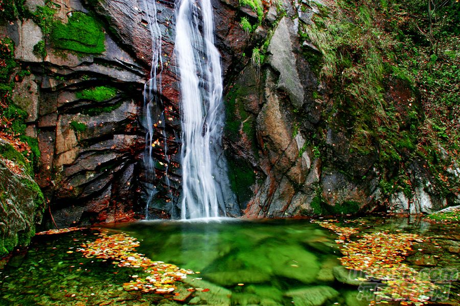 旅游商城享特惠 35元暢游欒川養子溝 旅游商城享特惠 35元暢游欒川養子溝
