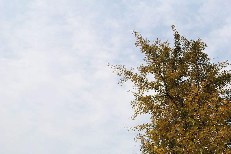 初冬旅游正此時 騎行走進黃河風景名勝區 初冬旅游正此時 騎行走進黃河風景名勝區