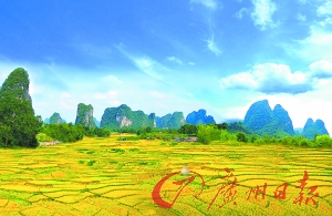 美食節品千雞宴 森林盛會秀才藝贏獎品 美食節品千雞宴 森林盛會秀才藝贏獎品