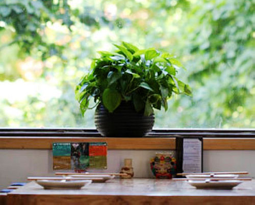 一坐一忘麗江主題餐廳 獨門漆油雞 一坐一忘麗江主題餐廳 獨門漆油雞