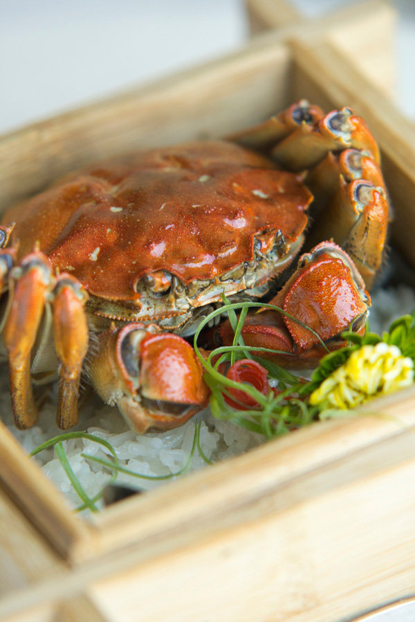 金閣呈獻創意蟹饌 增添秋天味道 金閣呈獻創意蟹饌 增添秋天味道