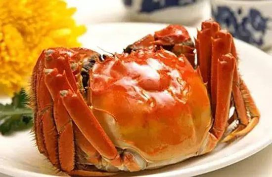 秋季最適合吃的海鮮是這10種 你吃對了嗎?