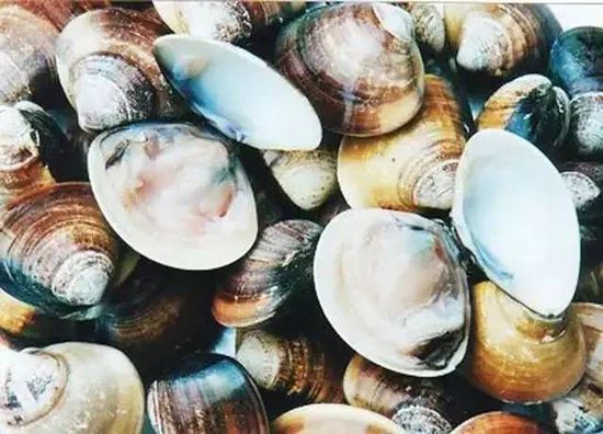 秋季最適合吃的海鮮是這10種 你吃對了嗎?