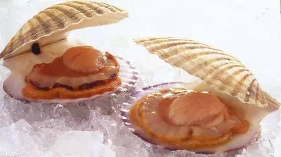 秋季最適合吃的海鮮是這10種 你吃對了嗎?