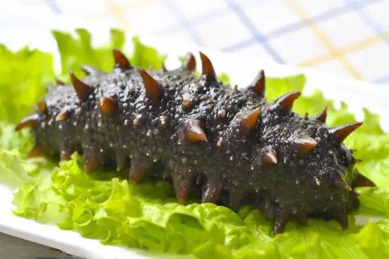 秋季最適合吃的海鮮是這10種 你吃對了嗎?