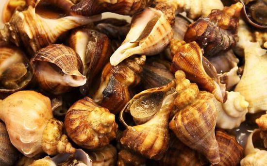 秋季最適合吃的海鮮是這10種 你吃對了嗎?