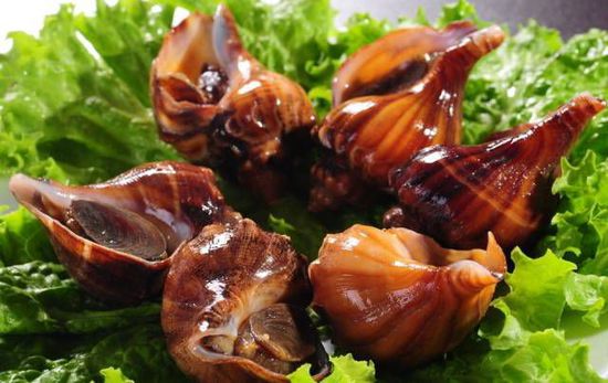 秋季最適合吃的海鮮是這10種 你吃對了嗎?