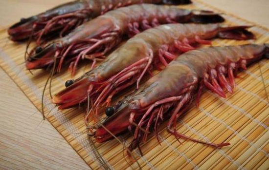 秋季最適合吃的海鮮是這10種 你吃對了嗎?