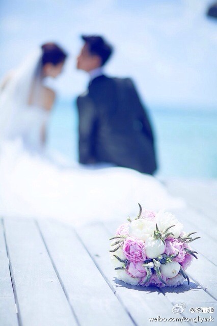 佟麗婭與陳思誠婚紗照 佟麗婭與陳思誠婚紗照