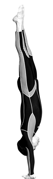 郝劭文 (《星跳水立方》) 郝劭文 (《星跳水立方》)