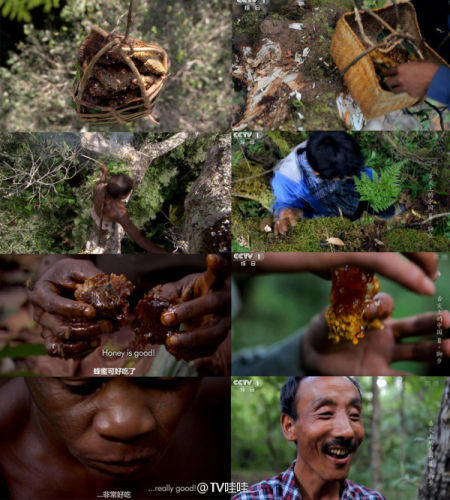 網友上傳《舌尖2》與BBC視頻截圖對比照 網友上傳《舌尖2》與BBC視頻截圖對比照