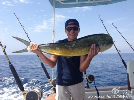 劉燁釣上大海魚 劉燁釣上大海魚