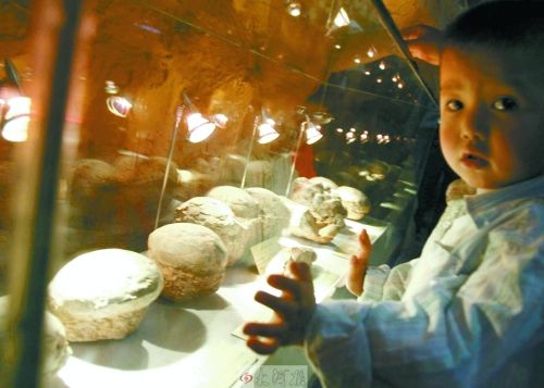 恐龍蛋,這回見識了吧! 恐龍蛋,這回見識了吧!