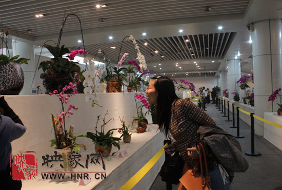 “溫馨九九重陽節 陪著父母去游園”活動圓滿舉行 “溫馨九九重陽節 陪著父母去游園”活動圓滿舉行