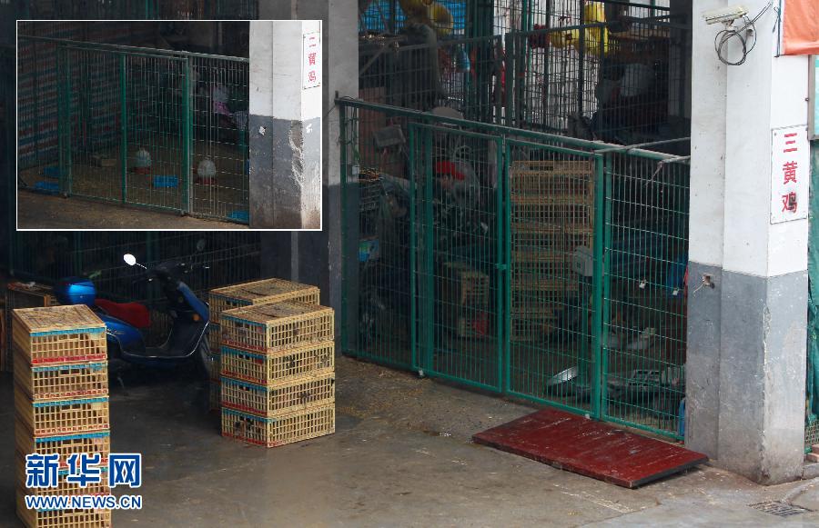 上海6日起暫停活禽交易 關閉所有活禽交易市場 上海6日起暫停活禽交易 關閉所有活禽交易市場