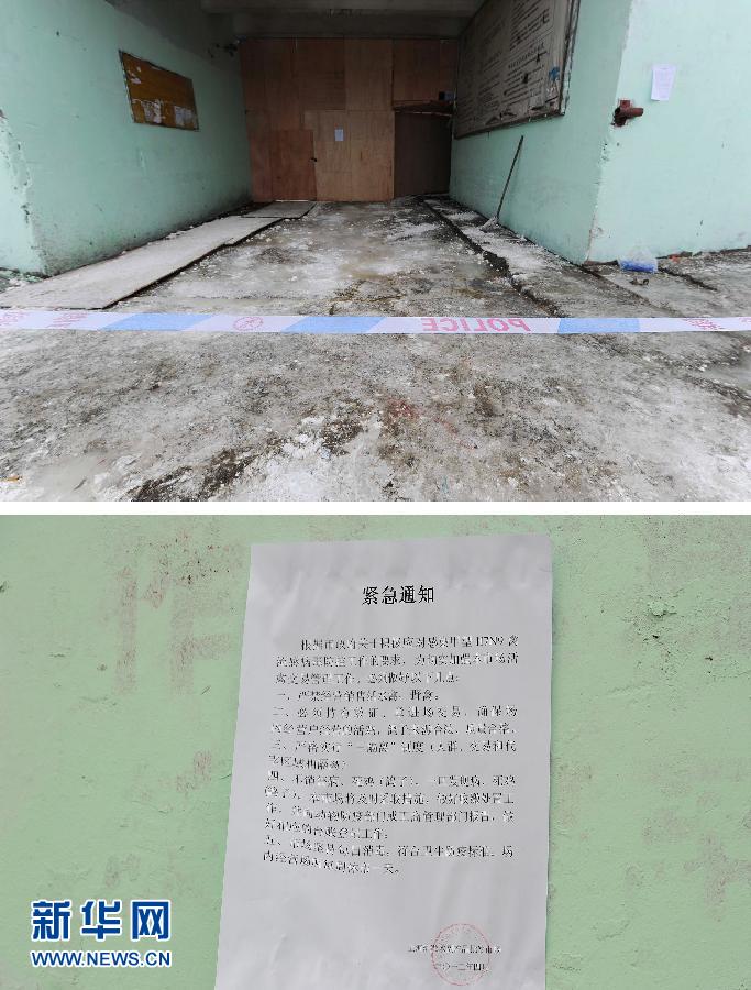 上海6日起暫停活禽交易 關閉所有活禽交易市場 上海6日起暫停活禽交易 關閉所有活禽交易市場