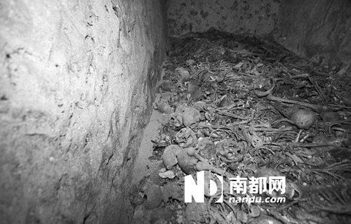 　5月29日，在以色列特拉維夫市雅法地區(qū)，一處集體墳?zāi)贡话l(fā)現(xiàn)。