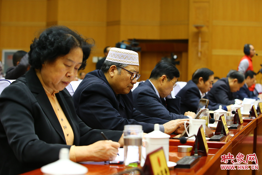 詢問會上的人大代表 詢問會上的人大代表