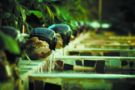 昭平湖森林溫泉度假村 昭平湖森林溫泉度假村