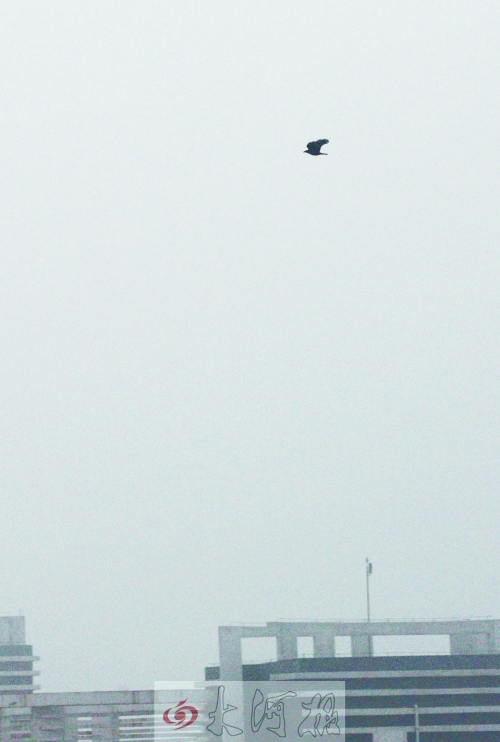 全省35個縣市發布惡劣天氣預警信號,其中15個發布大霧紅色預警 全省35個縣市發布惡劣天氣預警信號,其中15個發布大霧紅色預警