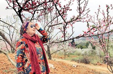 公式“時尚奶奶”的賞花照,收獲了好多人的點贊。 受訪者供圖