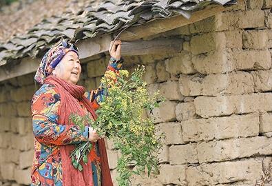 公式“時尚奶奶”的賞花照,收獲了好多人的點贊。 受訪者供圖