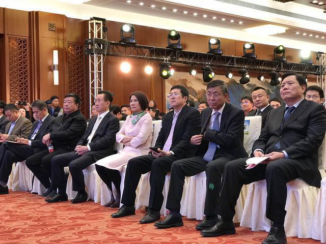 董明珠在現(xiàn)場(chǎng)演講時(shí)表示，她愿意拿她所有的資產(chǎn)投入到珠海銀隆里。據(jù)悉，同時(shí)與珠海銀隆原始股東共同簽署增資協(xié)議的，還有董明珠個(gè)人及北京燕趙匯金國(guó)際投資有限責(zé)任公司、大連萬(wàn)達(dá)集團(tuán)股份有限公司、江蘇京東邦能投資管理有限公司等3家知名企業(yè)，5家單位或個(gè)人共同增資30億，獲得珠海銀隆22.388%的股權(quán)。