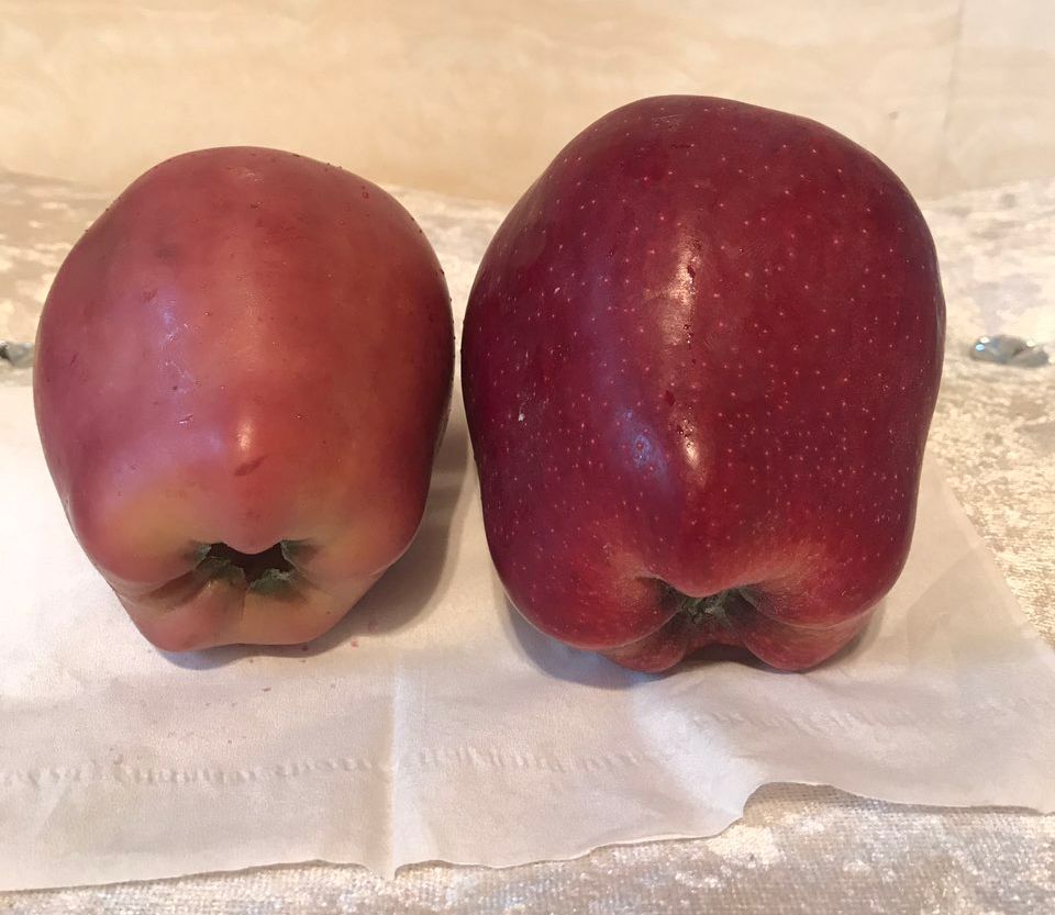 嚇懵!女子用熱水泡蘋果結果冒出血珠 咋回事? 嚇懵!女子用熱水泡蘋果結果冒出血珠 咋回事?