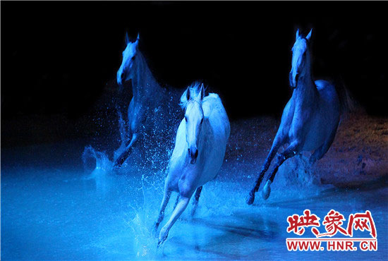 夢幻舞馬演出現場 夢幻舞馬演出現場