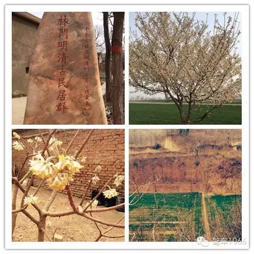 這里的一草一木都深深吸引著孩子們 這里的一草一木都深深吸引著孩子們