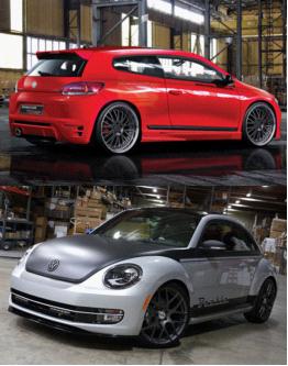 尚酷、甲殼蟲 尚酷、甲殼蟲